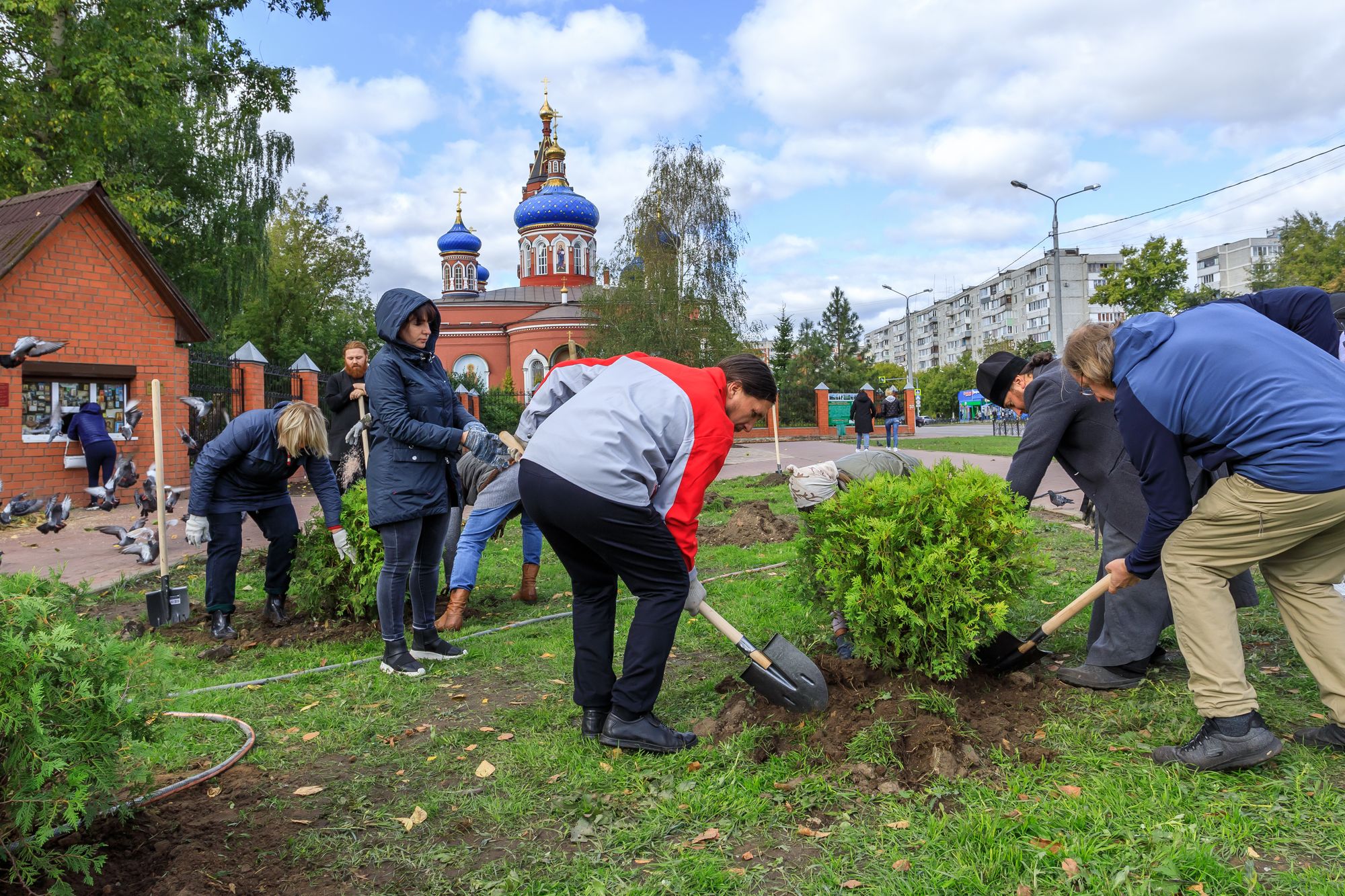 Посадка зелёных насаждений в Орехово-Зуеве