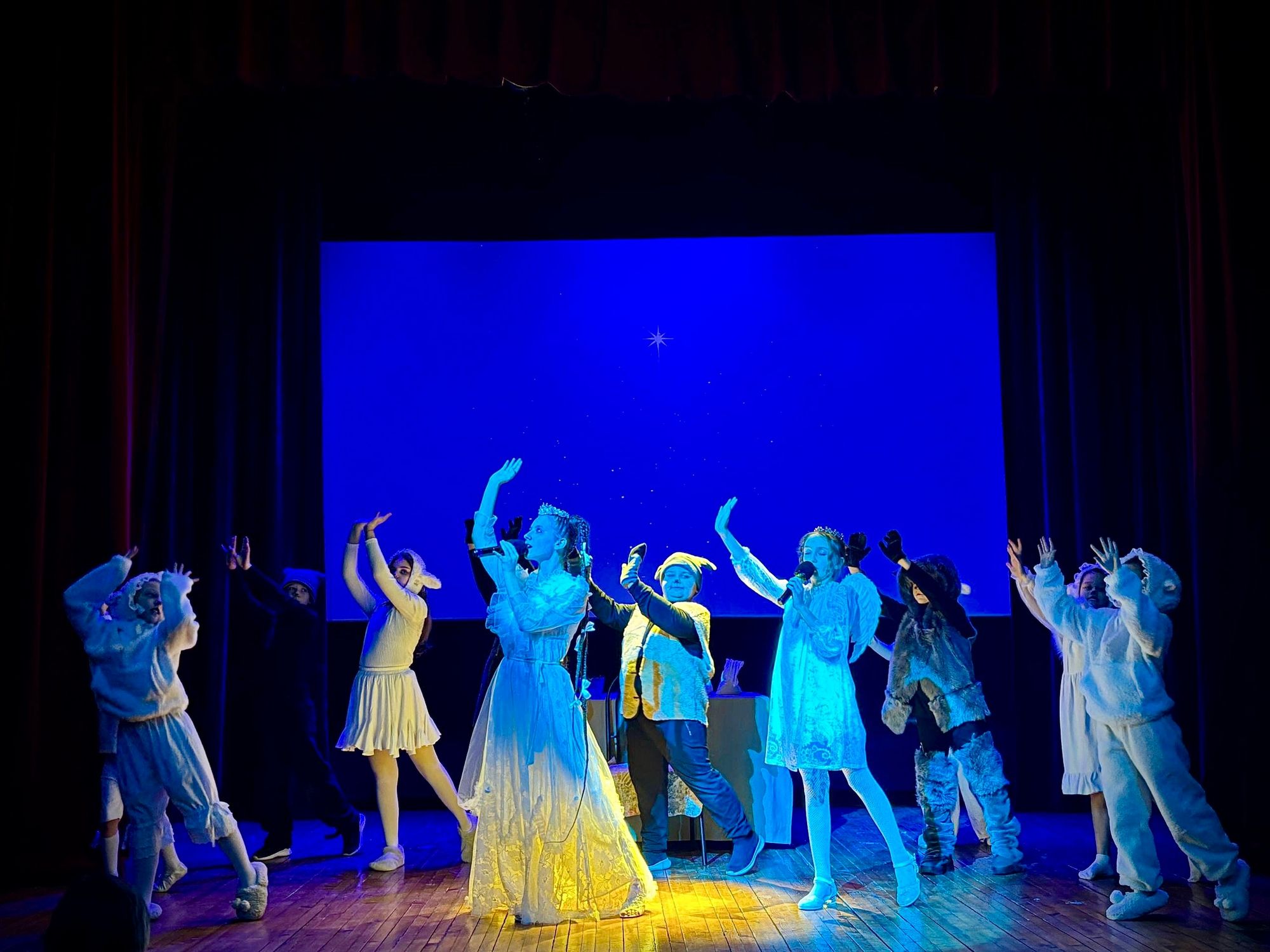 Благотворительная рождественская ёлка в Дрезне