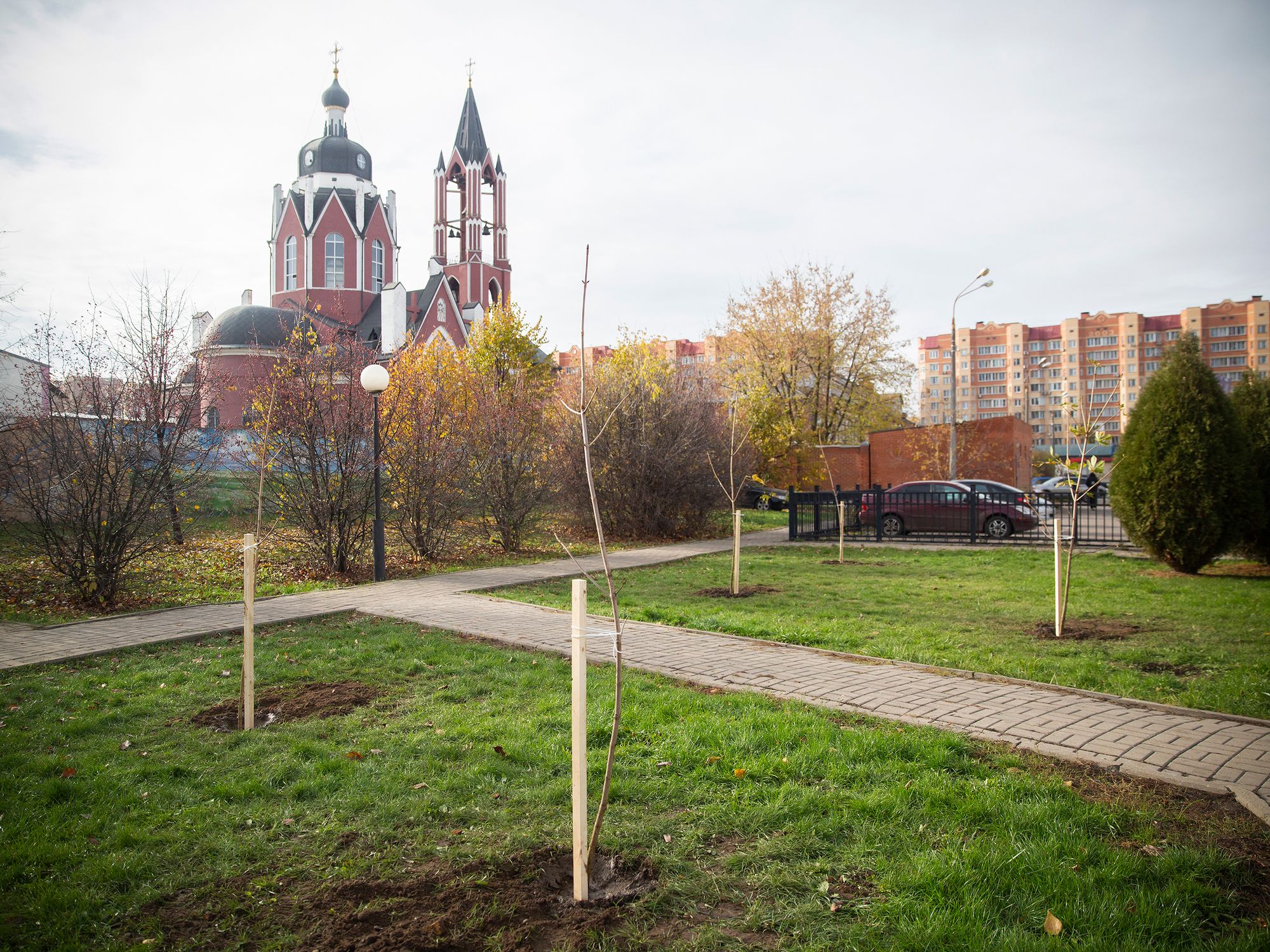 Патриотическая акция по посадке молодых деревьев на Аллее памяти г. Щёлково