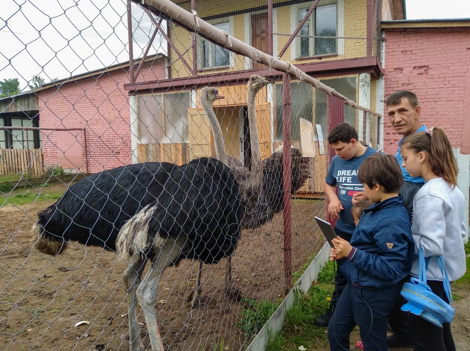 День защиты детей в Орехово-Зуевском благочинии