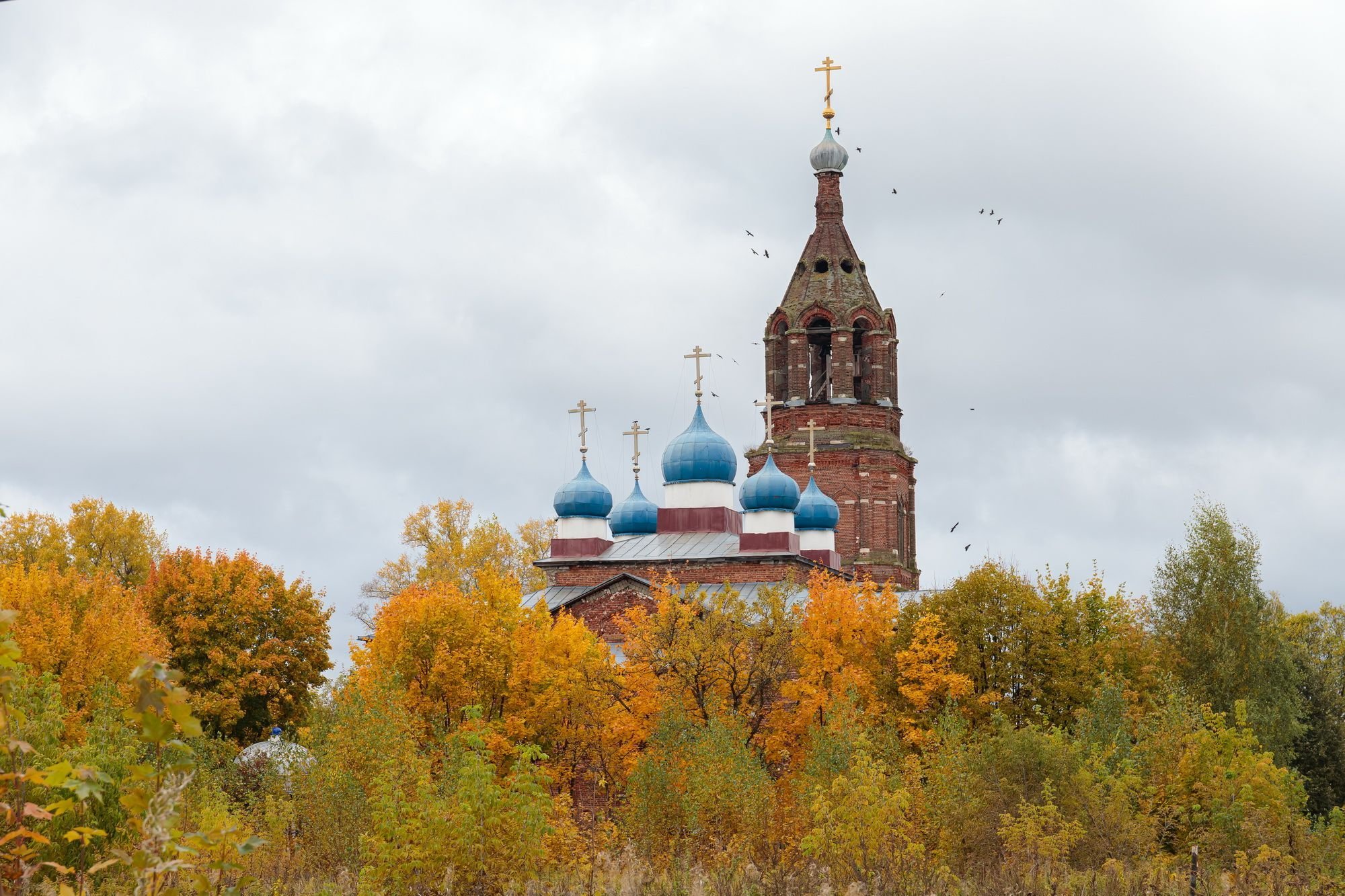 День памяти великомученика Никиты Готфского в Орехово-Зуевском благочинии