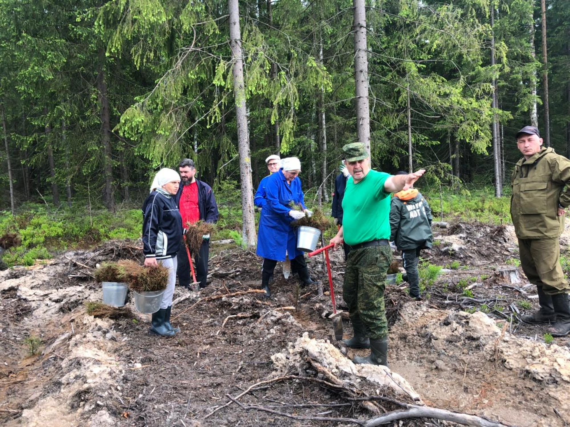 Посадка леса в Орехово-Зуевском благочинии