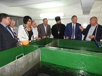 Заседание совета директоров организаций Ногинского района