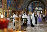 День семьи, любви и верности в Ногинске