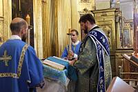 Праздник Боголюбской иконы Божией Матери в Троицком-Кайнарджи