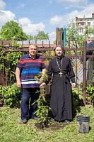 Акция «Сады Победы» в Электроуглях