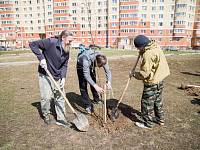 Акция «Лес Победы» в Щелковском районе