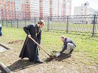 Акция «Лес Победы» в Щелковском районе