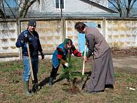 Акция «Лес Победы» в Щелковском районе