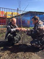 Акция «Лес Победы» в Щелковском районе