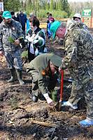 Экологическая акция «Лес Победы» в Орехово-Зуевском районе