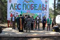 Акция «Лес Победы» в Ликино-Дулевском благочинии