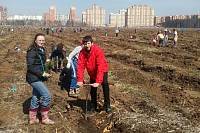 Акция «Лес победы» в Балашихинском благочинии