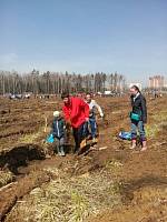 Акция «Лес победы» в Балашихинском благочинии