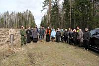 Посадка леса в Ликино-Дулевском благочинии