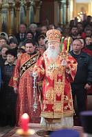 Пасхальный визит митрополита Ювеналия в&nbsp;Богородское благочиние