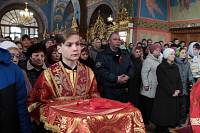 Пасхальный визит митрополита Ювеналия в&nbsp;Богородское благочиние