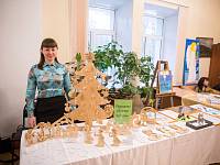 IХ Открытый районный фестиваль-конкурс духовной музыки и декоративно-прикладного творчества «Вифлеемская звезда-2017» в Щелково