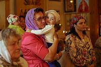 День памяти благоверного князя Александра Невского в Богородском благочинии