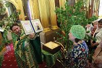 Престольный праздник Троицкого храма в Павлине