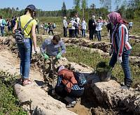 Акция «Лес Победы» в Балашихе