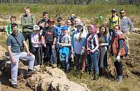 Акция «Лес Победы» в Балашихе