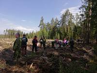 Областная акция «Лес Победы» в Шатуре