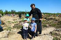 Акция «Лес Победы» в Ликино-Дулеве