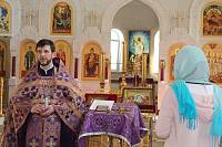 Международный День леса в Балашихе