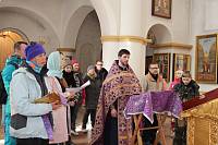 Международный День леса в Балашихе