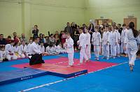 Фестиваль-смотр детских и юношеских айкидо-клубов Ногинского района