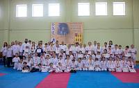 Фестиваль-смотр детских и юношеских айкидо-клубов Ногинского района