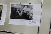 XII День православной молодежи Московской области