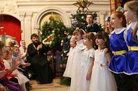 Рождество Христово в Богородском благочинии