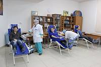 Донорская акция в Реутове