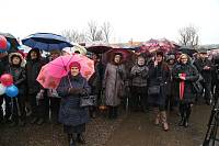 Открытие монумента металлургу в Электростали