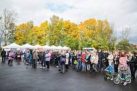 День Московской области и юбилей городского парка культуры и отдыха г. Щелково