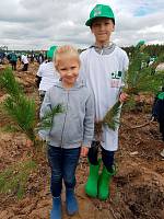 Акция «Наш лес. Посади свое дерево» в Щелковском районе