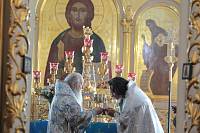 День Богородского края в&nbsp;Ногинске