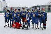 Турнир по хоккею с мячом в Ногинском районе