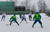 Турнир по хоккею с мячом в Ногинском районе