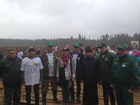 Экологическая акция &laquo;Наш лес&raquo; в&nbsp;Орехово-Зуевском благочинии