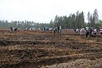 Акция &laquo;Наш лес. Посади свое дерево&raquo; в&nbsp;Орехово-Зуевском районе