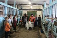 День памяти мчч. Флора и&nbsp;Лавра в&nbsp;Ликино-Дулево