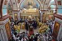 Патриарший визит в Зарайск