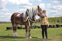 Архипастырский визит в&nbsp;Никитский храм д. Бывалино