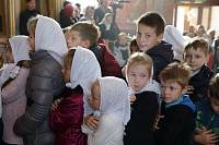 Торжества в честь 100-летия мученической кончины священномученика Константина Богородского в Ногинске