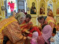 Божественная литургия и пастырский семинар в Никольском храме села Середниково