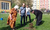 Экологическая акция «Наш лес. Посади свое дерево» в Балашихе