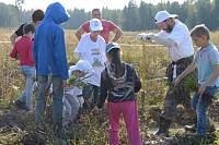 Акция «Наш лес. Посади свое дерево» в Щелковском районе